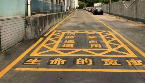 司機(jī)車內(nèi)猝死仍被貼條 惋惜的是生命,不解的是執(zhí)法程序