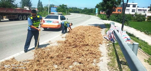維護(hù)公路運行安全 天門開展路域環(huán)境綜合整治行動